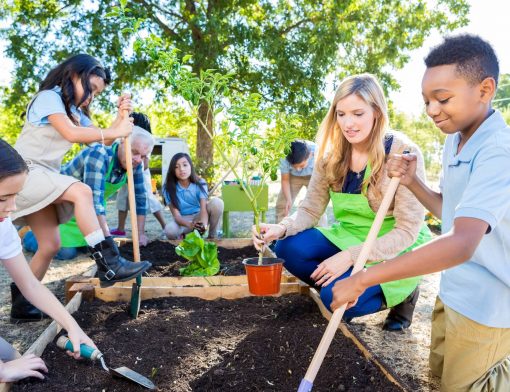 ecologia na educação infantil