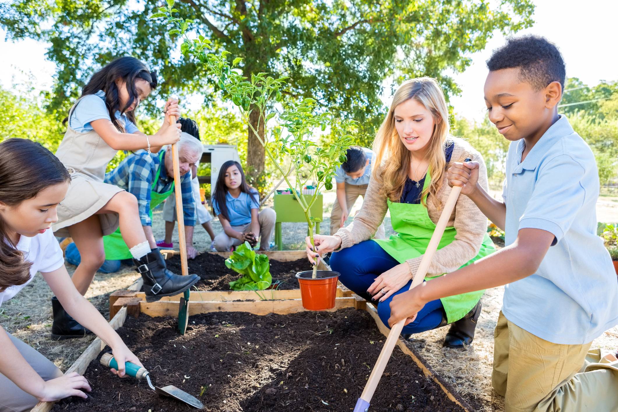 Ecologia O Que Passar Para Os Alunos Como Exemplo Real