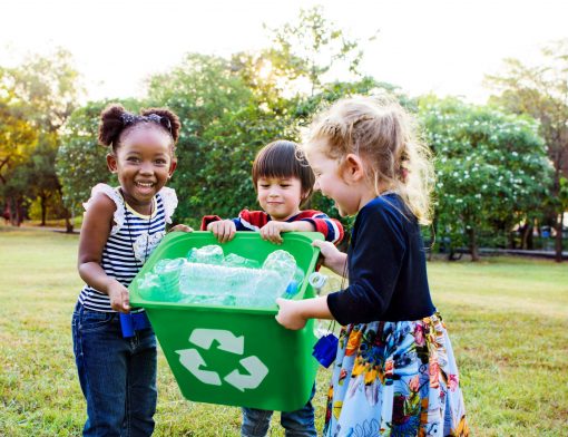 meio ambiente e educação infantil